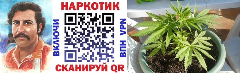 Где купить Балей Alpha PVP  КОКАИН  Гашиш  МАРИХУАНА 